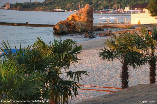 'Єгипет відпочиває': на пляжі в Одесі з'явилася екзотика