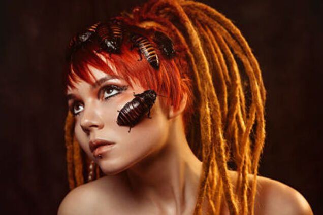 Куда ушли тараканы