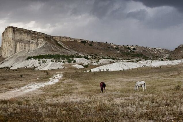 Крымчане могут лишиться свой земли