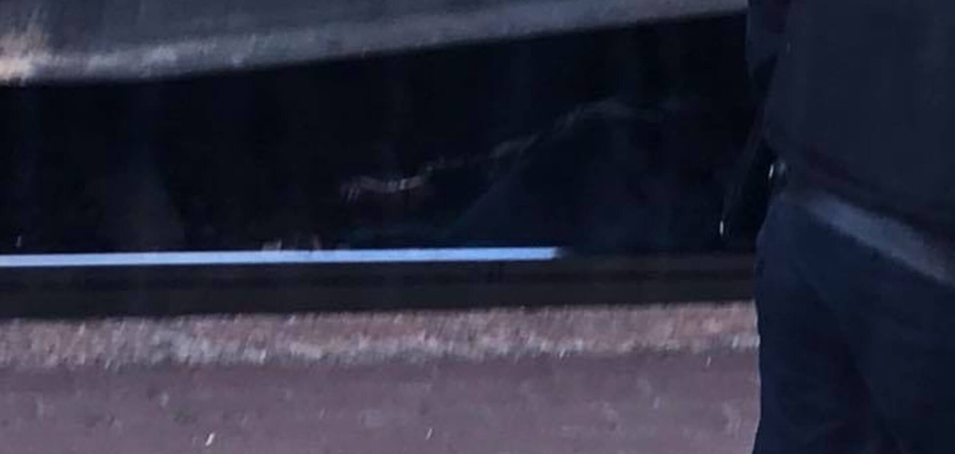 Шла и говорила по телефону: на Кировоградщине грузовой поезд сбил женщину