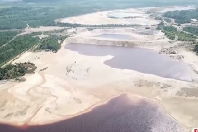 На Житомирщине могут уничтожить сотни гектаров леса ради карьера Фирташа