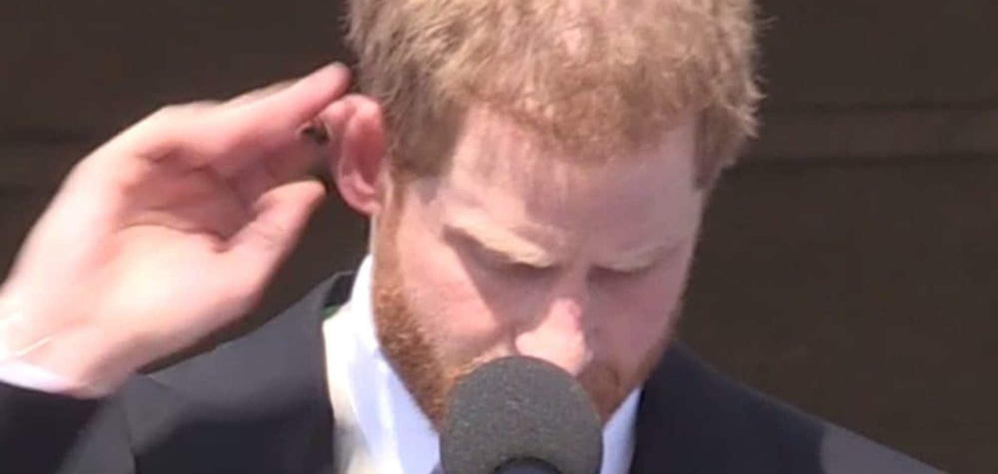 Підступна бджола: з принцом Гаррі трапився курйоз під час виступу