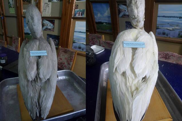 В музее Киева случайно нашли старинную записку из прошлого: фото