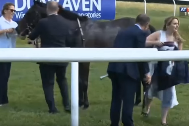 Божевільний вчинок журналістки на скачках потрапив у прямий ефір