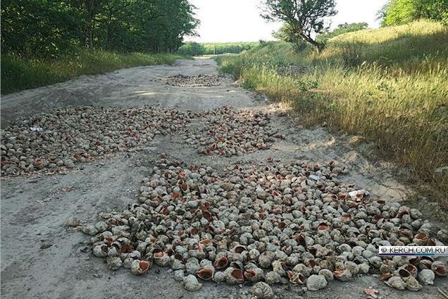 Новости Крымнаша. Бунтующие в стойле