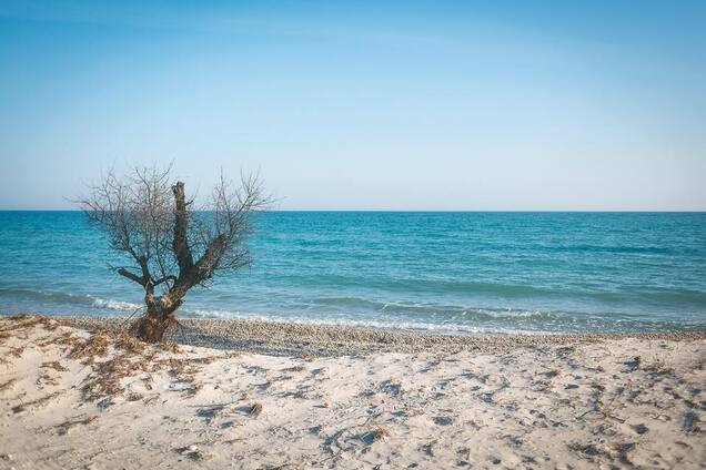 Наши 'Мальдивы': в сети показали самый большой необитаемый остров в Украине