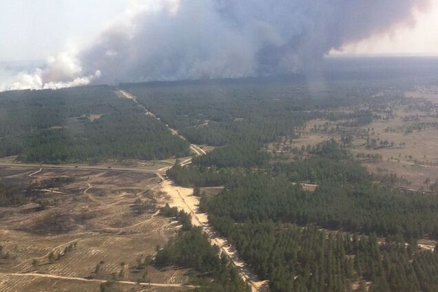 В Україні спалахнула сильна лісова пожежа