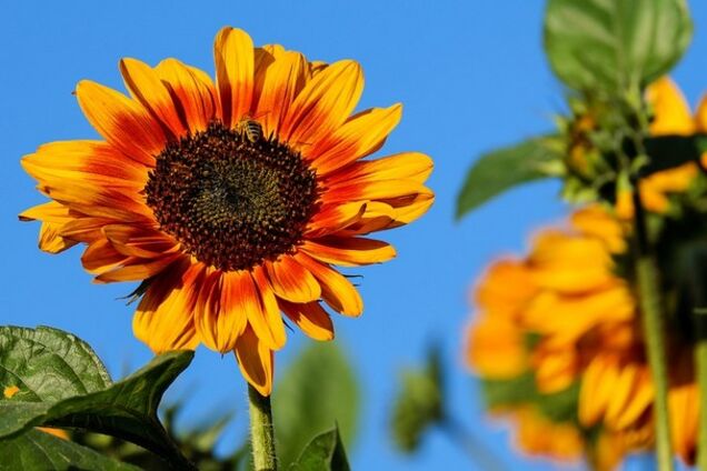 Погода в Україні