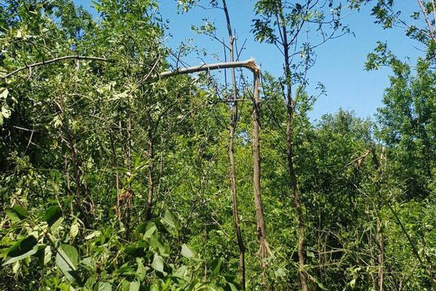 Гибель девочки на Донбассе: в ГПУ доказали вину 'ДНР'