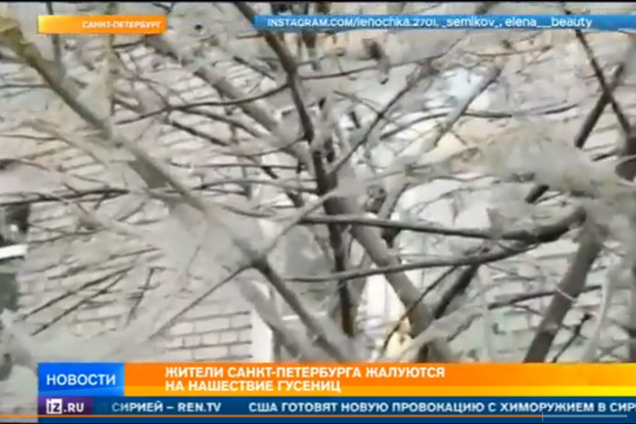 'Страта єгипетська': Пітер в павутині перетворився в 'фільм жахів'. Фото і Відеофакт