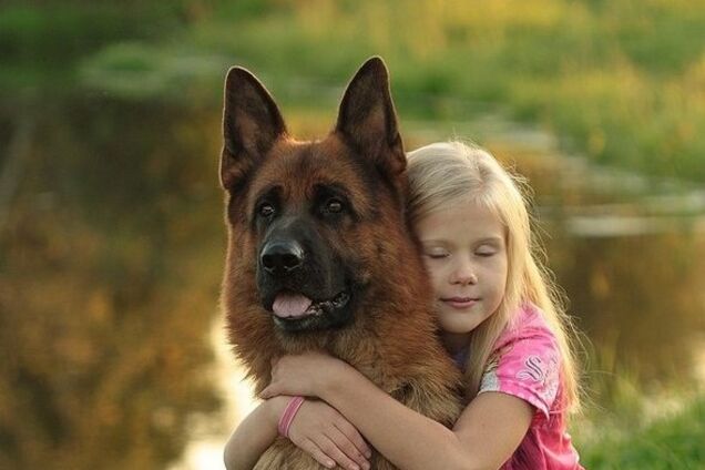 У Кам'янському собака знайшла зниклу 8-річну дівчинку