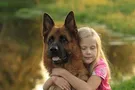 В Каменском собака нашла пропавшую 8-летнюю девочку