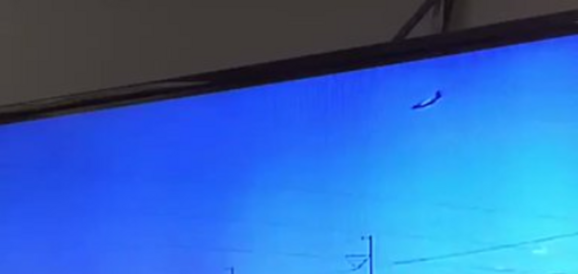 Рухнув на трасу: момент авіакатастрофи в США потрапив на відео