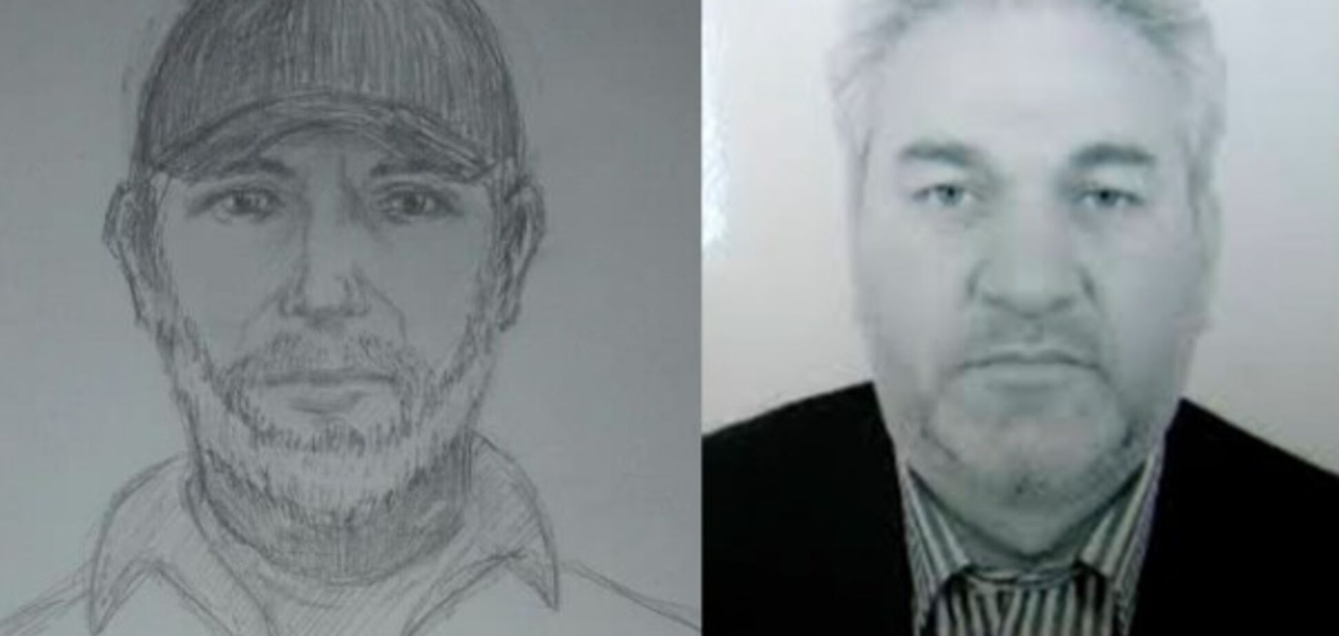 Перед вбивством Бабченка до Києва прибув кілер ФСБ - ЗМІ