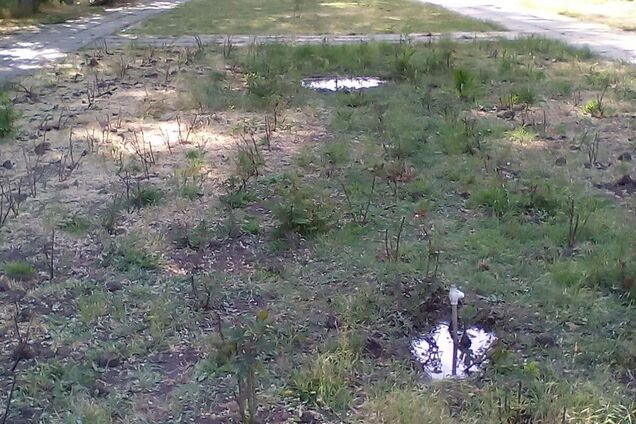 Новости Крымнаша. Крым убивает