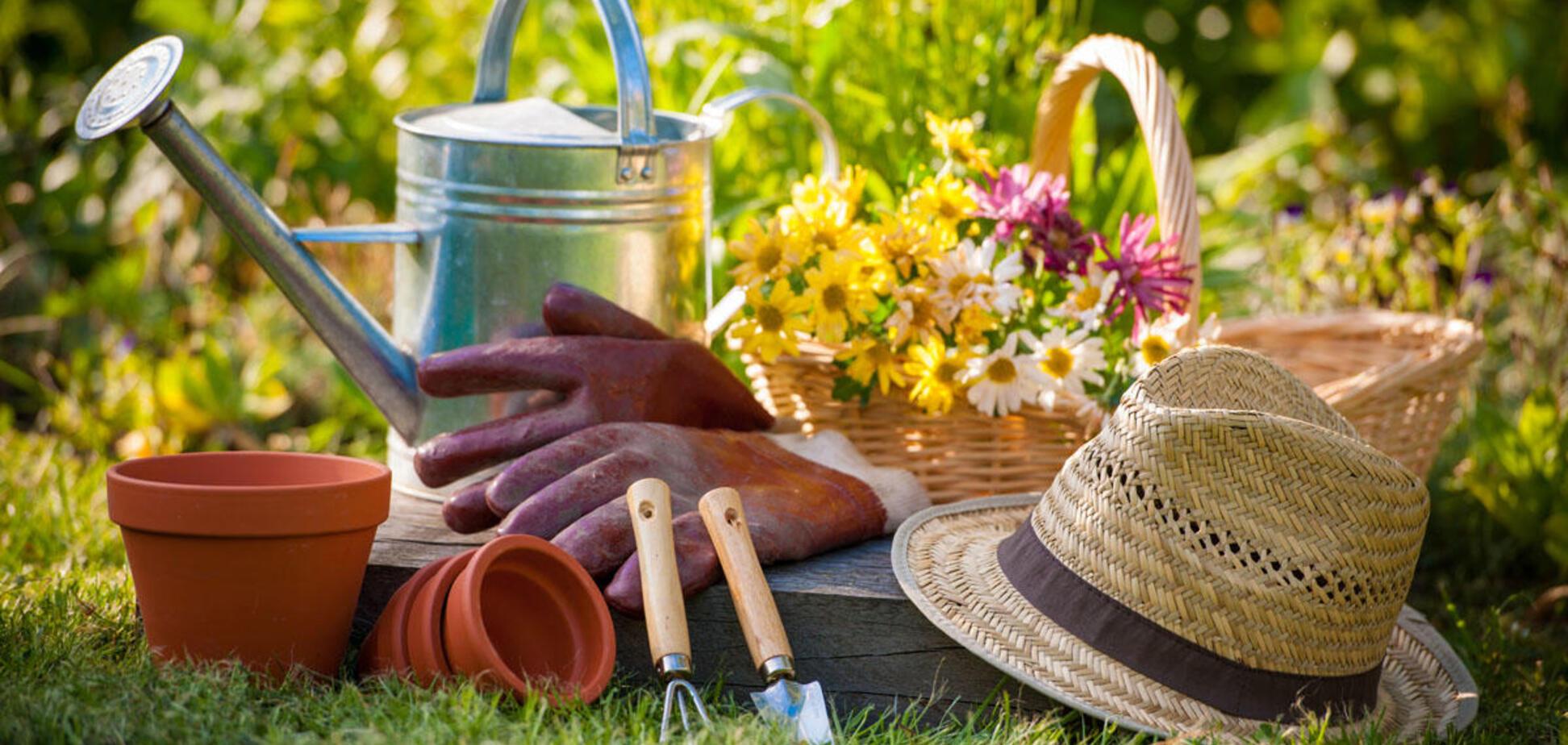 Лунный календарь садовода на июнь 2018: советы астролога