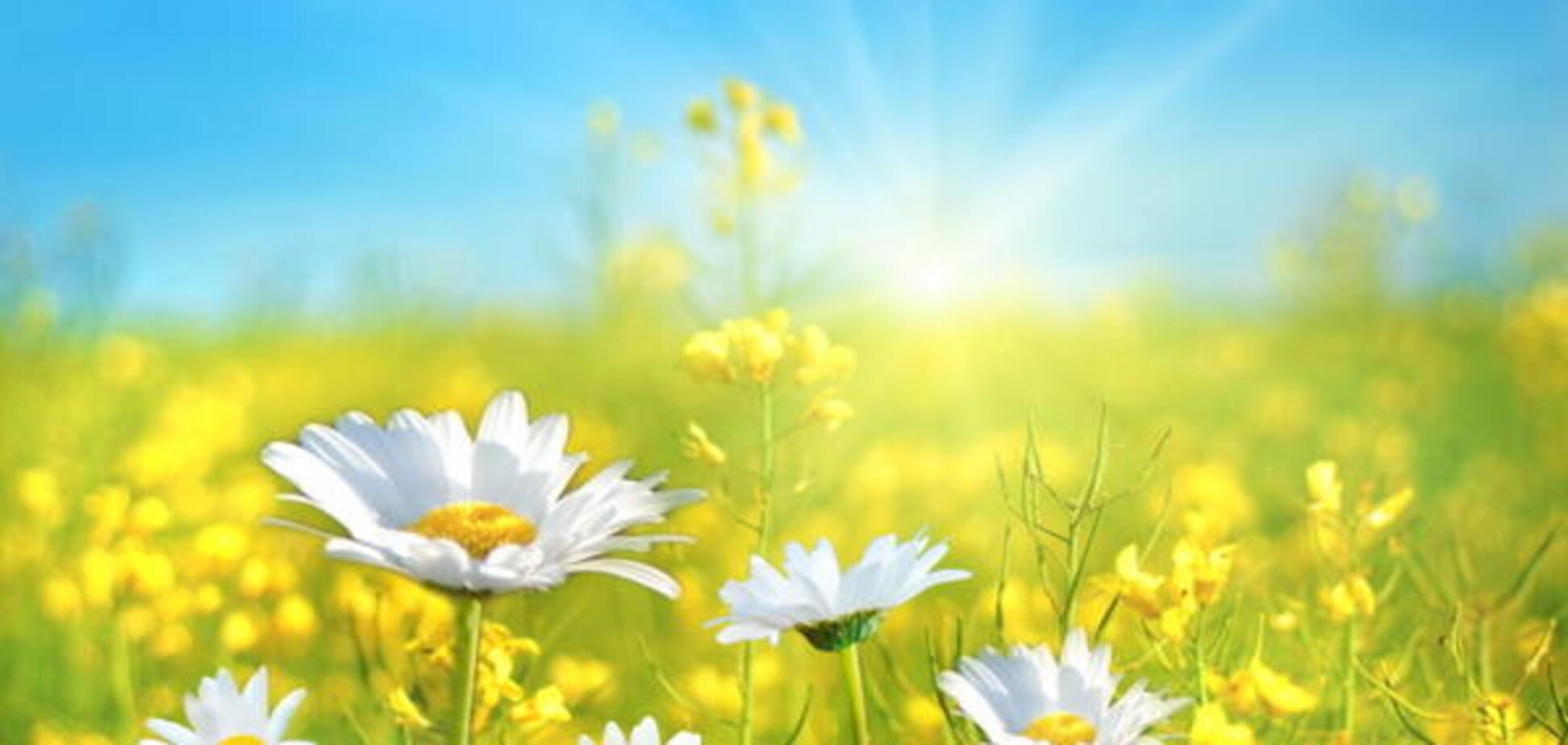 Лето в Украине