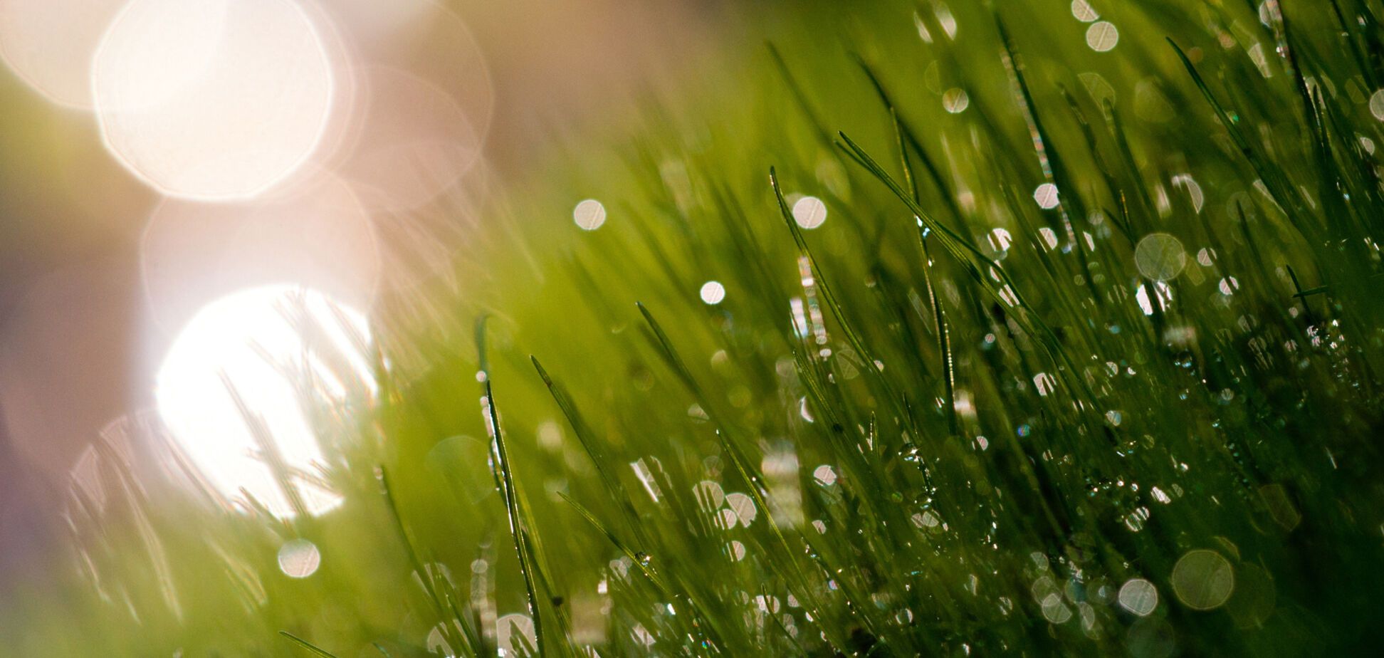 Приметы на 6 мая: что нельзя делать