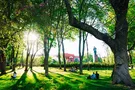 Киев хочется обнимать