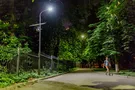 Киевский ботсад переходит на солнечную энергию