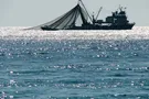 Оккупанты задержали украинское судно близ Крыма