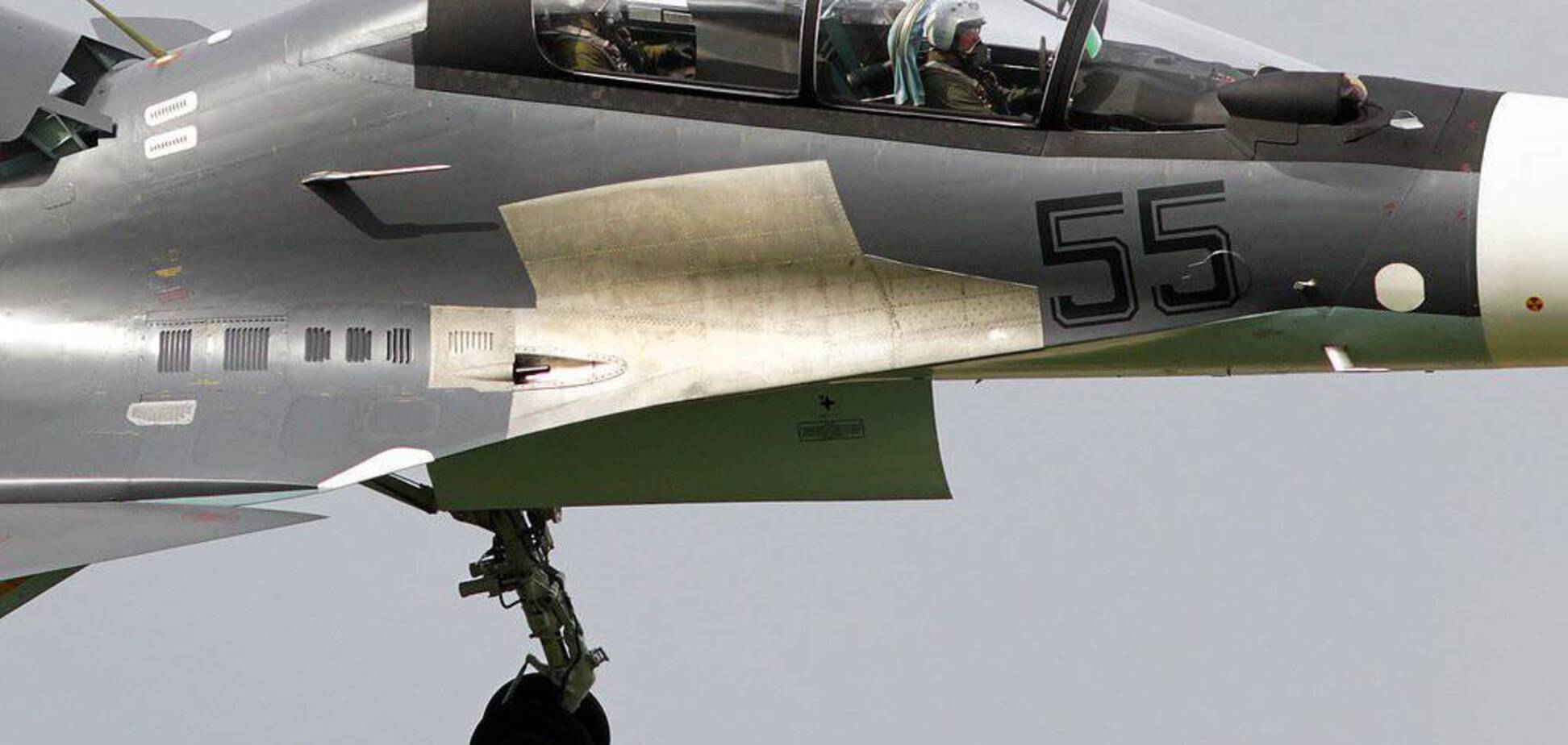 Птицы ни при чем: журналист разбил фейк Кремля о гибели Су-30СМ в Сирии
