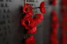 Без "победобесия" и 100 грамм: украинцам подсказали, как провести 8 и 9 мая