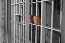 Смерть подозреваемого в ДТП в Кривом Роге: очевидец рассказал, как это случилось