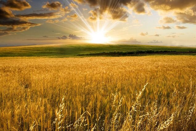 Приметы на 7 мая: что нельзя делать