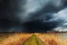 поле ливень туча