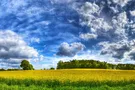 Каким будет лето в Украине