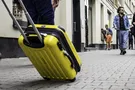 "Еду с вами!" Пес научился прыгать в чемодан