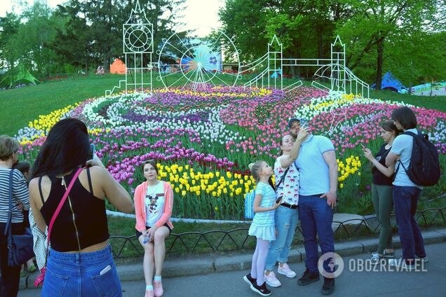 Вход на выставку тюльпанов в Киеве сделали бесплатным