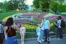 Вход на выставку тюльпанов в Киеве сделали бесплатным