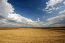 поле небо солнце пахота