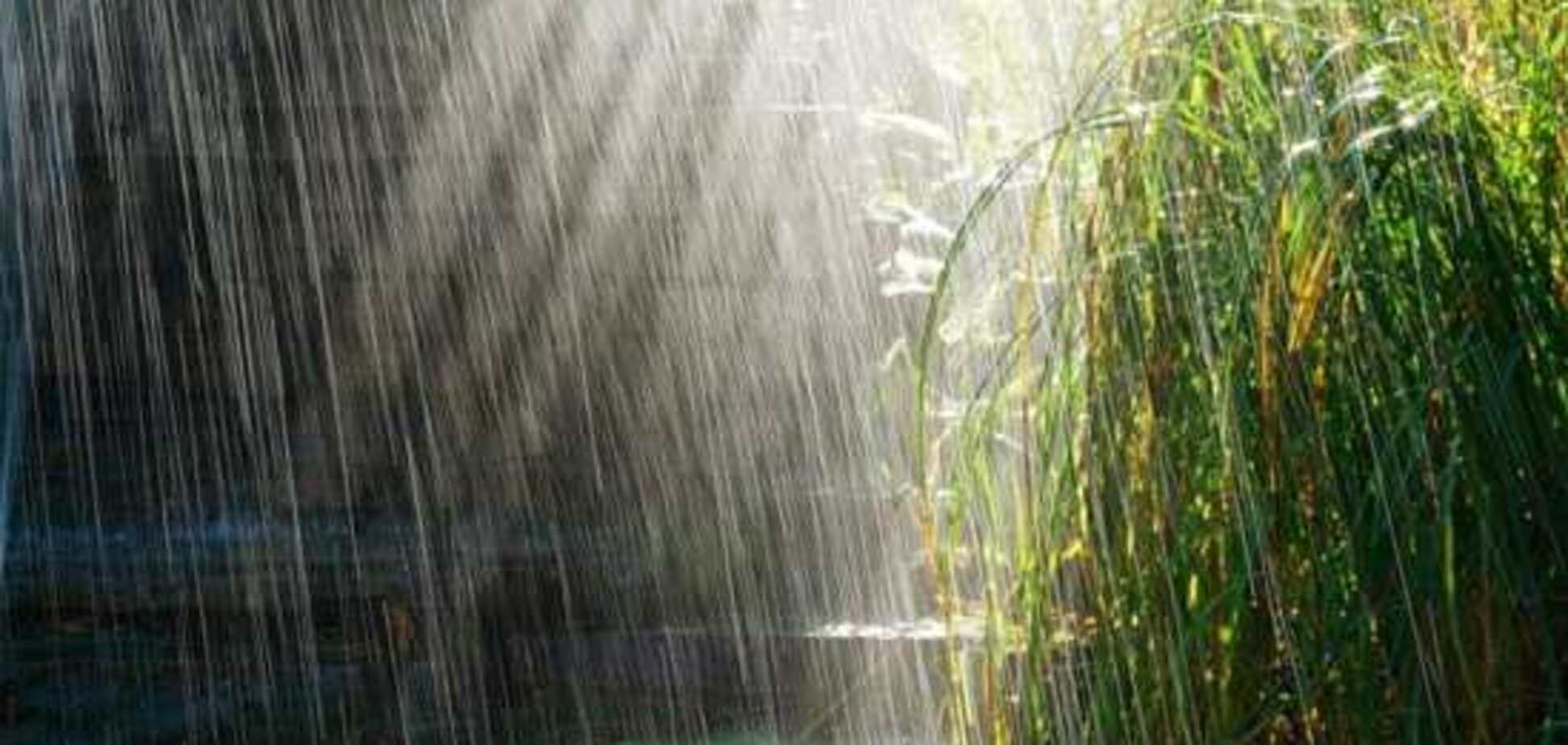 Погода в Украине: синоптик рассказала, когда отступят дожди