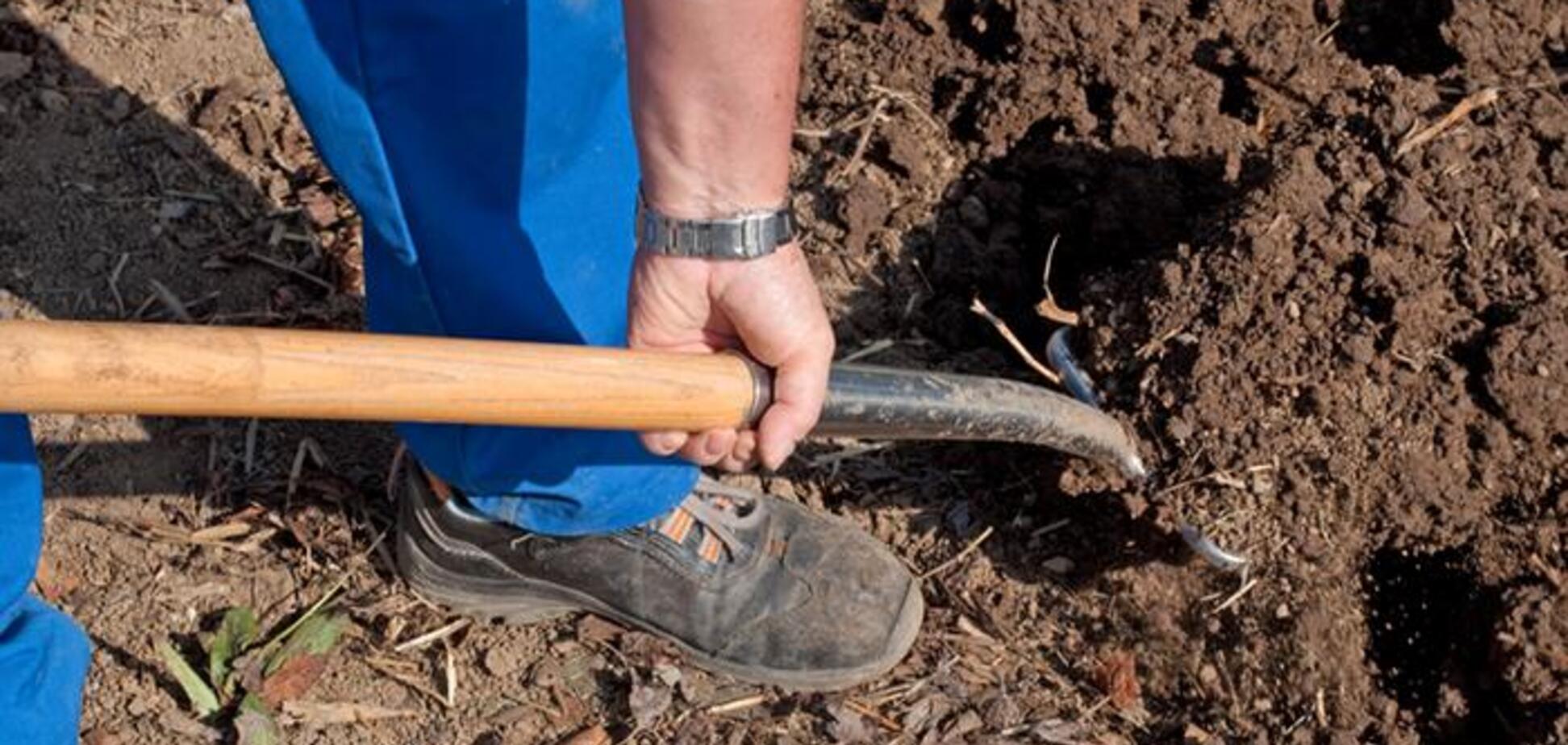 230 тысяч украинцев пострадали от современного трудового рабства - СМИ