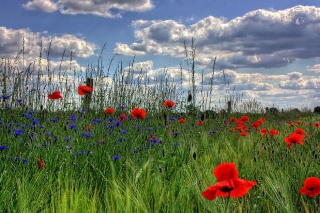 В Украине резко ухудшится погода
