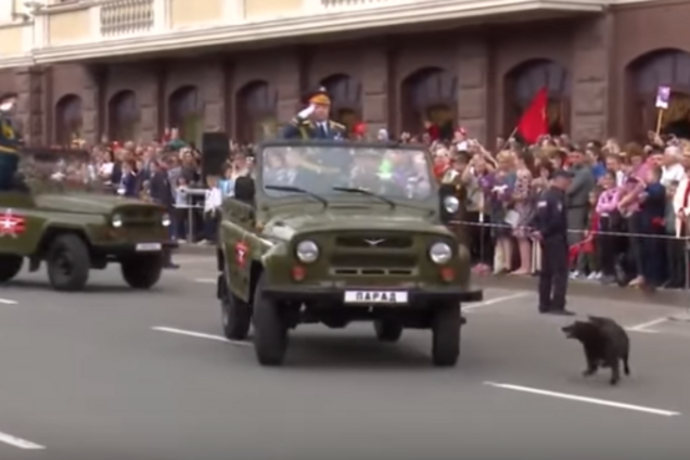 Приключения Хунтика в Донецке. Комедия