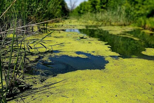 Древняя река Протовча - загадочный приток Днепра