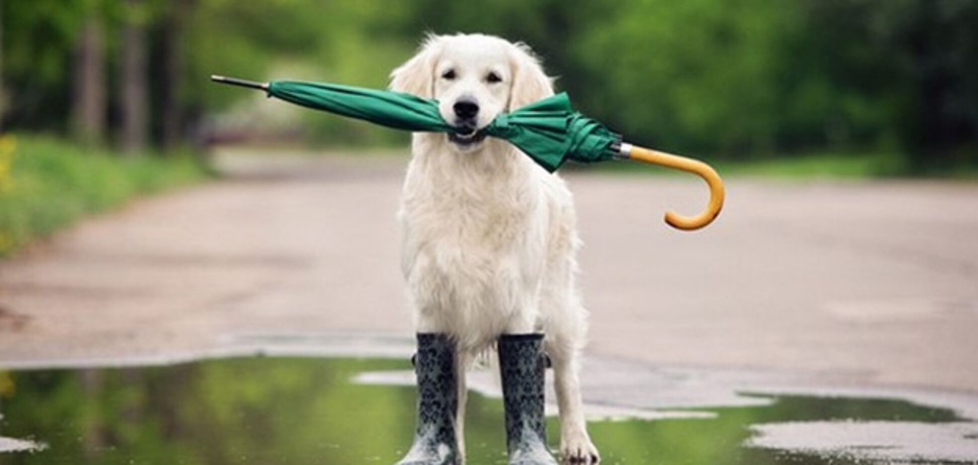 В Україні оголошено штормове попередження