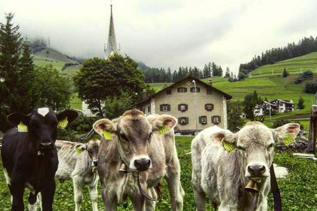 В сеть попали фото альпийского города, который нельзя снимать
