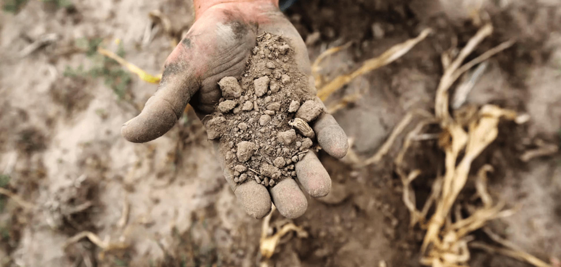 Крим засихає: у Кабміні заявили про неминучу катастрофу