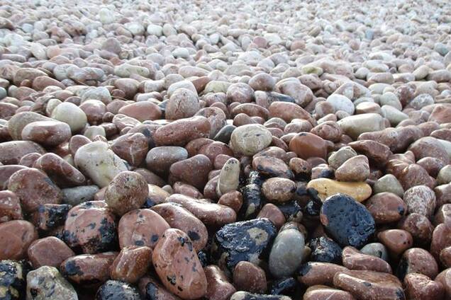 Купаться невозможно: Ялту настигла экологическая катастрофа