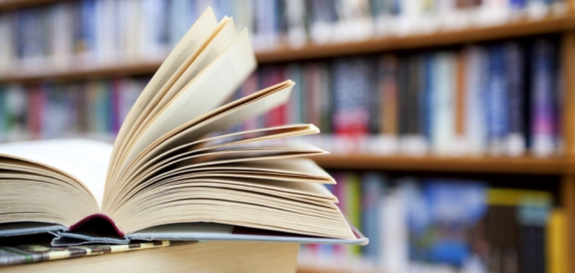 Появилась новая успешная модель образования