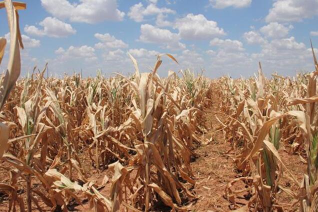 В Крыму воды нет. Как Кремль решит проблему?