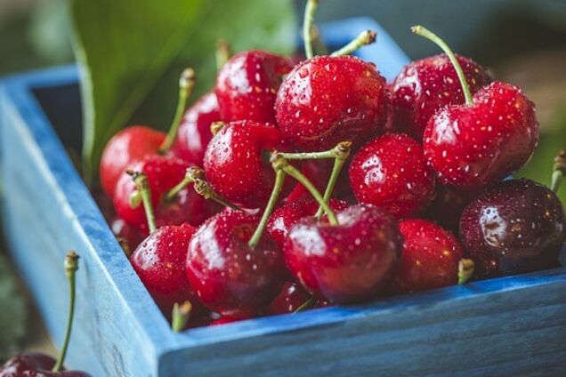 Вишня або черешня: що корисніше