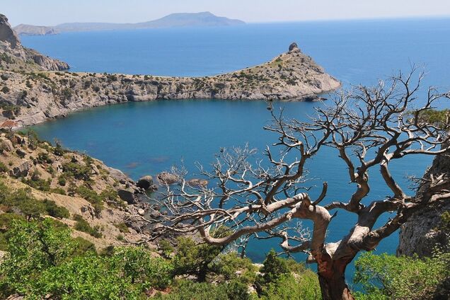 Знаю, почему выключился свет в Крыму - российский ученый