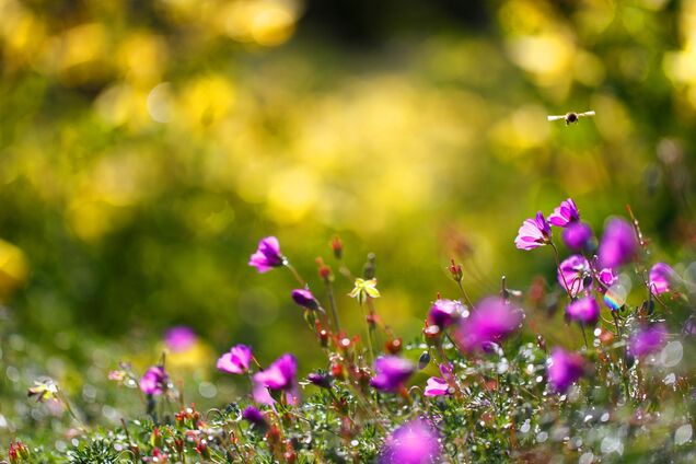 Куда пойти в Киеве 16-17 июня