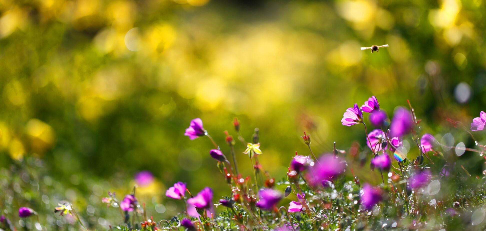 Куда пойти в Киеве 16-17 июня